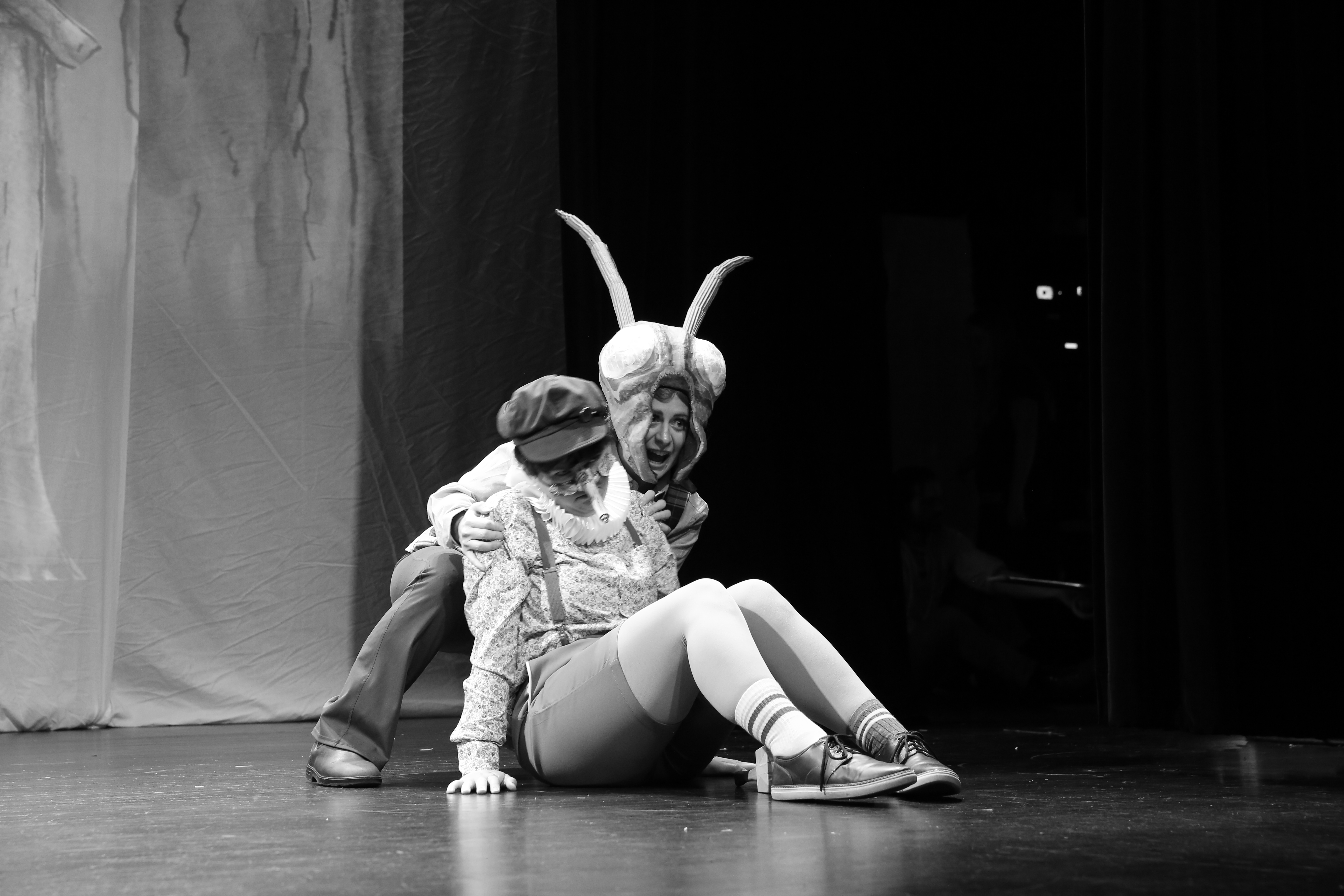 Del Simone as The Cricket in Jonathan Dove's Pinocchio. Boulder Opear, December 2024